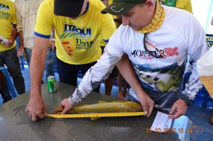 Membro da comissão organizadora mede dourados pescado durante o torneio Itaquipesca