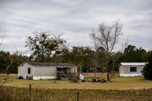 Crianças morrem após ficarem trancadas em freezer no quintal de uma casa na Flórida, nos EUA — Foto: Lauren Bacho/The Gainesville Sun via AP