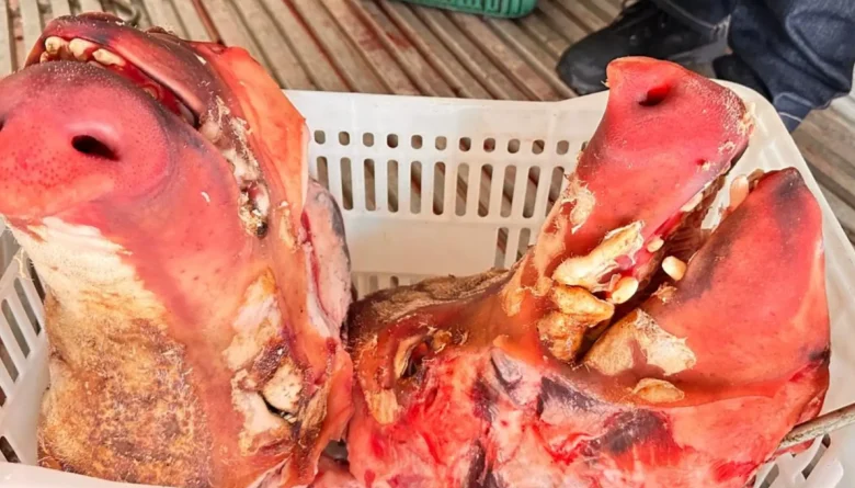 “Batida” encontra quatro toneladas de carne imprópria para consumo em Dourados