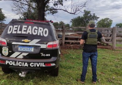 Operação recupera quase 70 cabeças de gado furtadas
