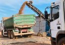Governo de Japorã atende agricultores familiares com transporte de cama de frango