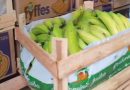 Funcionário é preso após desviar frutas e lucrar R$ 5 mil em um mês