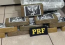 Marido de secretária municipal é preso pela PRF com 10 kg de cocaína Marido de secretária municipal é preso pela PRF com 10 kg de cocaína