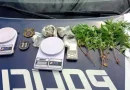 Suspeito de plantar maconha em terreno baldio é preso