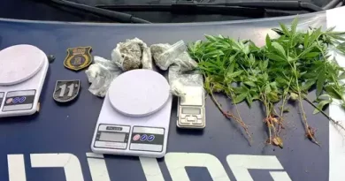 Suspeito de plantar maconha em terreno baldio é preso