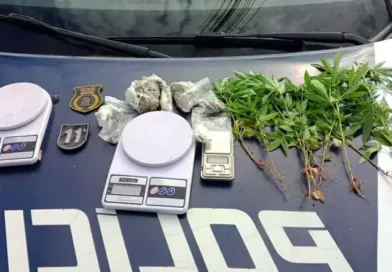 Suspeito de plantar maconha em terreno baldio é preso