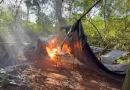 Três acampamentos são queimados com 1,8 tonelada de maconha