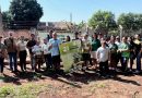 Itaquiraí realiza plantio de ipês e distribui 600 mudas no Dia da Árvore